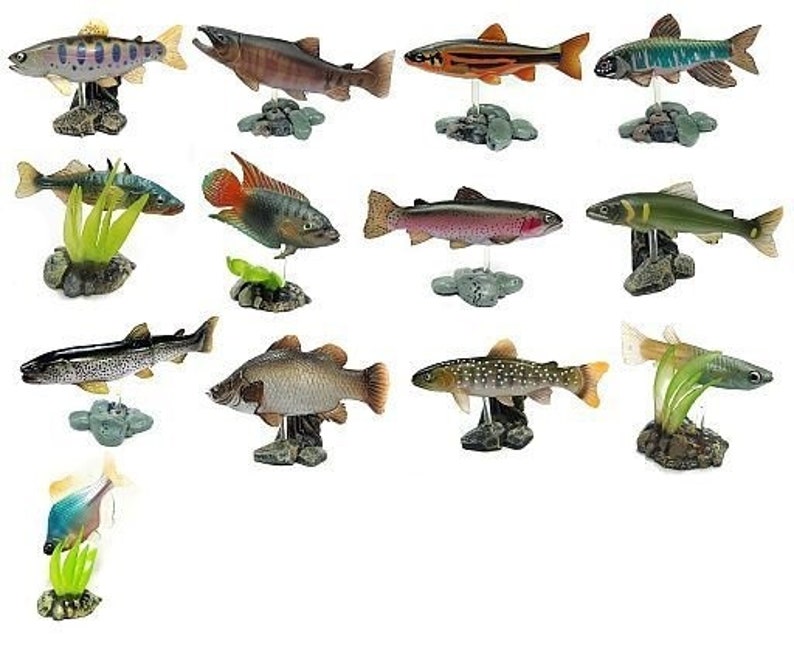 May include: A selection of fish ornaments, each displayed on a small rock base. The fish showcase diverse colours and patterns, including browns, greens, and oranges, with some sporting spots or stripes. These figurines are likely intended for decorative use.