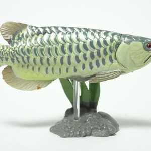 May include: A detailed model of an Arowana fish, with a light green body and darker green scale patterns. The fish has red eyes and is mounted on a clear stand with green aquatic plants and a grey base. The fins are a light tan colour.