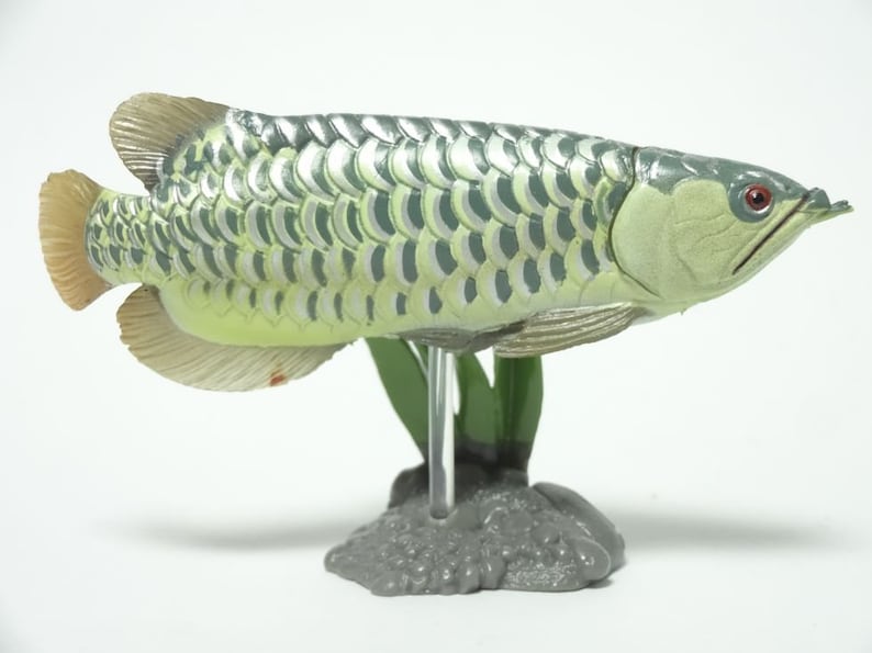 May include: A detailed model of an Arowana fish, with a light green body and darker green scale patterns. The fish has red eyes and is mounted on a clear stand with green aquatic plants and a grey base. The fins are a light tan colour.