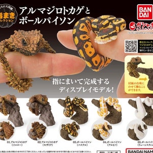 Könnte beinhalten: Werbebild mit einer Sammlung von Miniatur-Reptilienfiguren, darunter ein Gürteltier-Eidechse und verschiedene Königspythons. Die Figuren sind so konzipiert, dass sie sich um einen Finger wickeln lassen, wobei mehrere auf einer Hand dargestellt werden. Der Text "指まきコレクション" und "ディスプレイモデル!" ist ebenfalls enthalten.