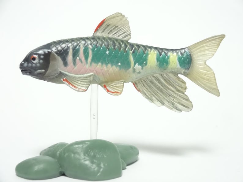 Yujin Primary Color Freshwater Fish Encyclopedia I Gashapon Pale Chub