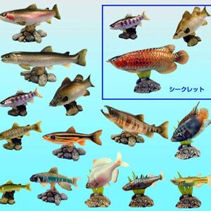 May include: A selection of fish ornaments, each displayed on a small, rock-like plinth. The fish come in diverse colours and patterns, including stripes and spots. The Japanese text "シークレット" is present.