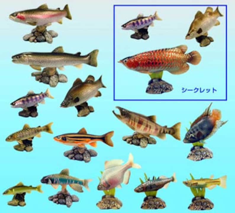 May include: A selection of fish ornaments, each displayed on a small, rock-like plinth. The fish come in diverse colours and patterns, including stripes and spots. The Japanese text "シークレット" is present.