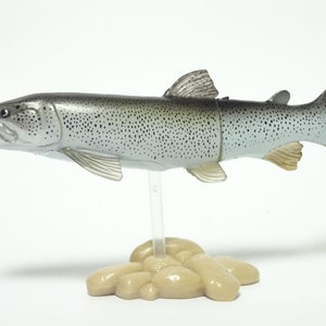 May include: A detailed model of a fish, possibly a trout, with a silver body and dark spots. The fish is mounted on a clear stand above a cluster of beige rocks. The fish's fins and tail are visible.