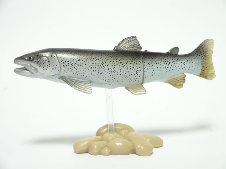 May include: A detailed model of a fish, possibly a trout, with a silver body and dark spots. The fish is mounted on a clear stand above a cluster of beige rocks. The fish's fins and tail are visible.