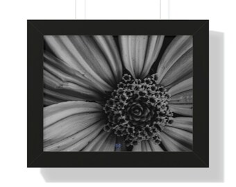 Framed Horizontal Poster of Delicate Flower in Black and White