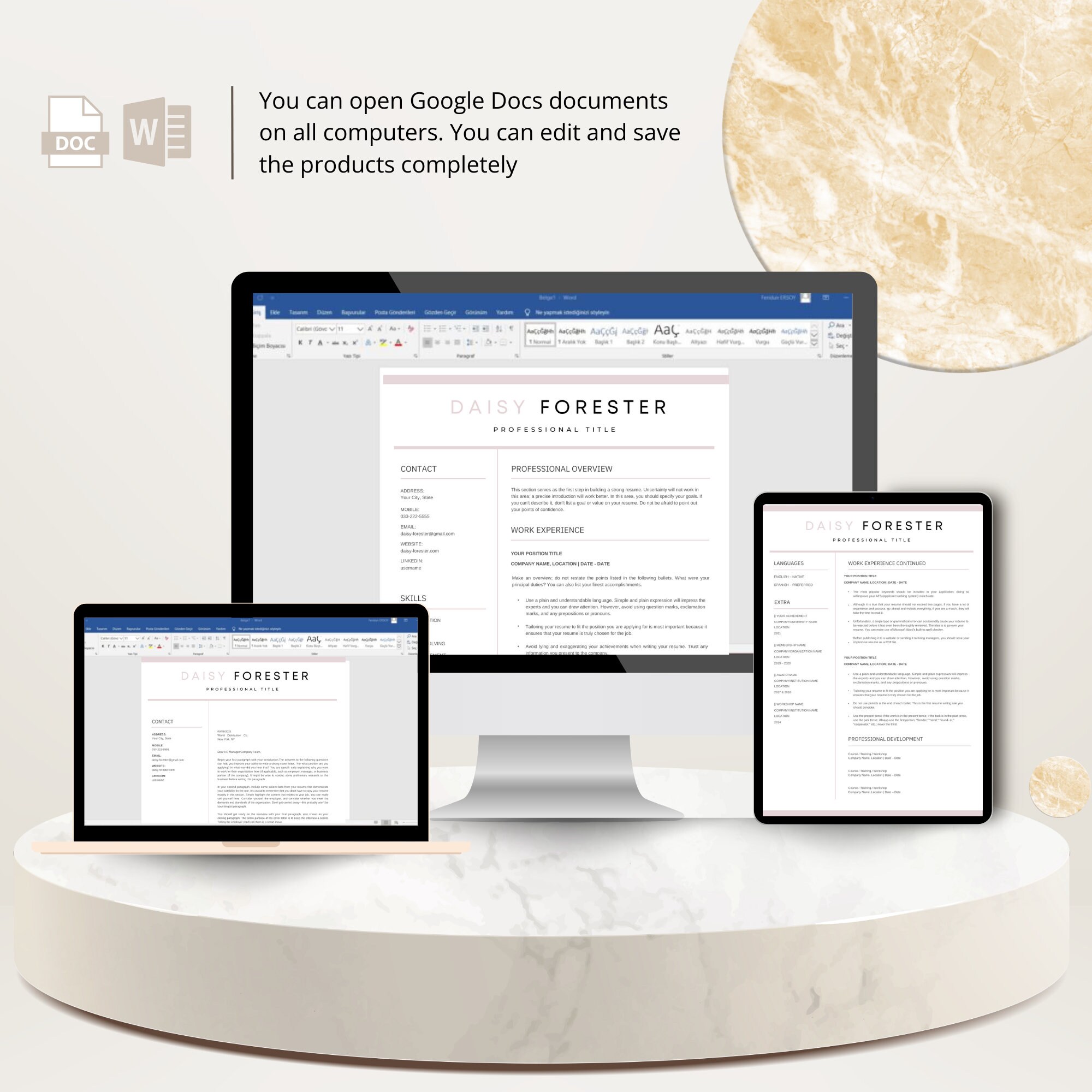 Professional Resume Template for Google Docs , Word & Pages Clean CV ...