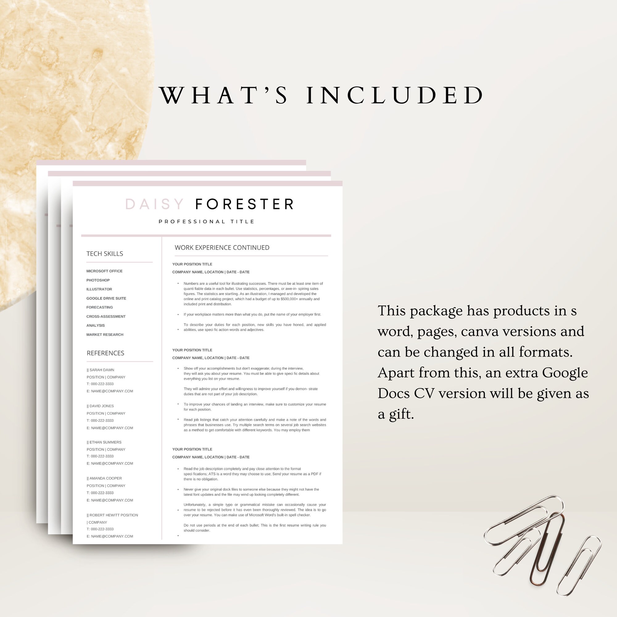 Professional Resume Template for Google Docs , Word & Pages Clean CV ...