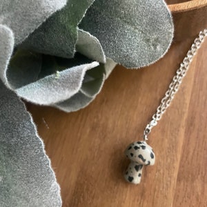 Dalmation