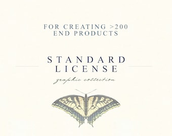 Licence STANDARD : lot de graphismes de la boutique Ayhanstudio