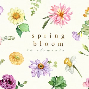 Watercolor Spring Flower Clipart: 80 PNG Floral Elements (Digital Art)