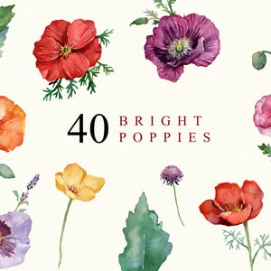 Aquarell hell Mohnblumen Clipart Frühling Sommer Blumen Botanische DIY Elemente Hochzeit Schreibwaren lädt PNG Blumenillustration Wildblume ein