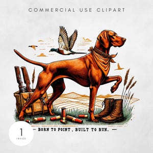 Hunting Dog Cooler PNG, Hunter Camo German Shorthair Pointer PNG, Summer Outdoor Camping Sublimation Design Born to Point Duck Hunting