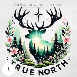 True North Vbs Png, Vacation Bible School Png Vbs Sublimation Digital Design, VBS 2025 Digital Download, Christian Summer Camp Png