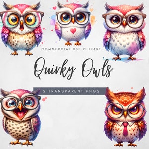 Búho en gafas PNG Animales brillantes y coloridos Divertido pájaro Clipart Descarga digital Grumpy Happy Sad Owl Diseños Archivos de uso comercial