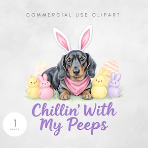 May include: A digital illustration of a dachshund wearing bunny ears and a pink bandana, surrounded by Easter eggs, chicks, and a bunny. The text "Chillin' With My Peeps" is written in purple script.