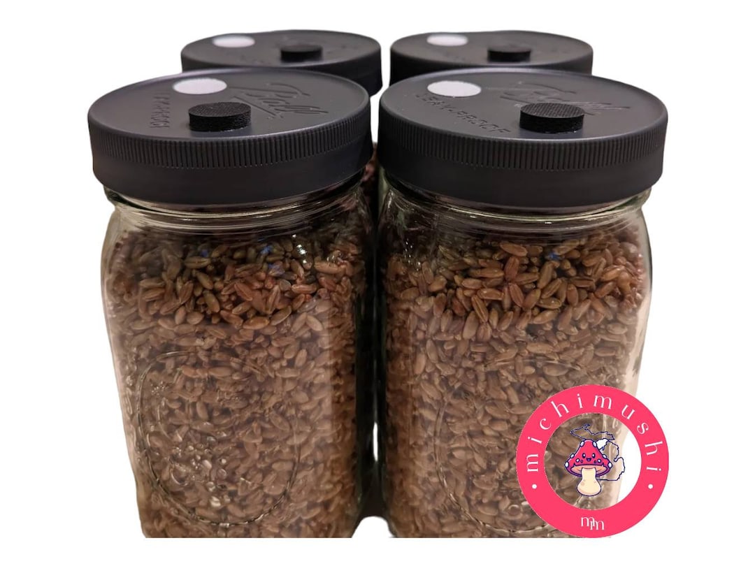 Mushroom Grain Jars 4 Quart Jars Rye Berry Spawn Sterilized Grain Spawn