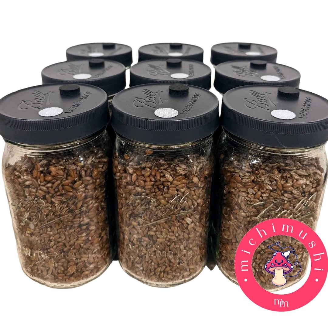 Mushroom Grain Jars 9 Quart Jars Rye Berry Spawn Sterilized Grain Spawn