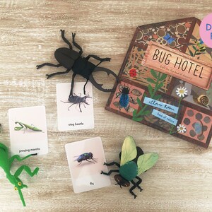 Carte Montessori, Carte in tre parti, Carte con nomenclatura degli insetti, Carte Flash stampabili