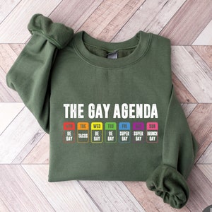 The Gay Agenda Shirt, Gay Shirt, LGBT Shirt, Bisexual Shirt, Pride Rainbow Shirt, Trendy Shirt, Lesbian Shirt, LGBT Gift