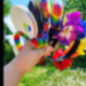 Custom Mickey/Minnie Mouse Ears