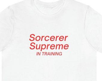 Sorcerer Hero T-Shirt, DISN Trip T Shirt, Group Family Tee Shirt, Matching Couples Tshirt, (Adult Men Women Teenager Tween Kids)r