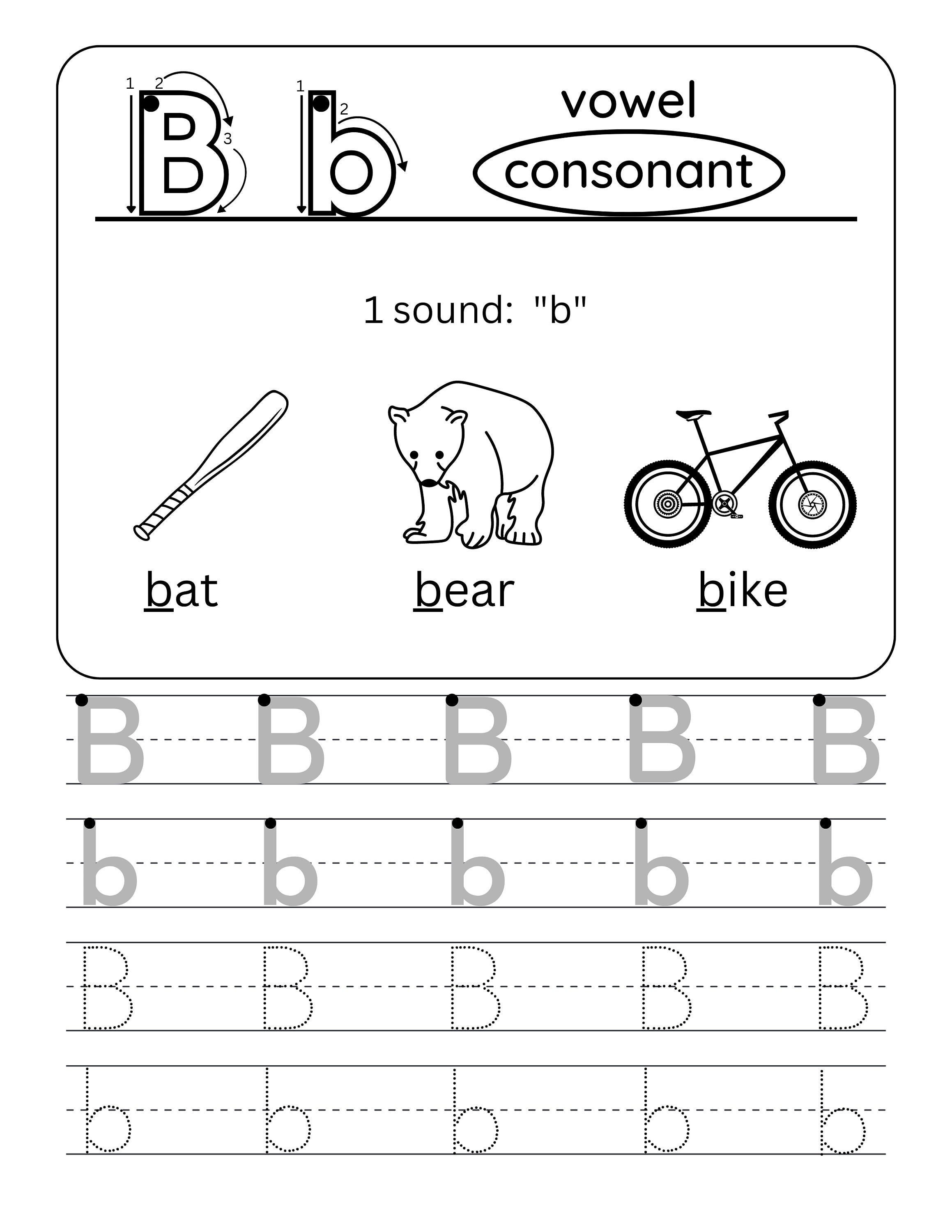 Letter B Worksheets