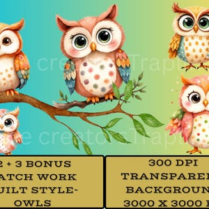 May include: Watercolor illustration of five owls in various poses. The owls are perched on a branch with green leaves. The owls have large eyes and colorful feathers. The image includes text that says "12 + 3 BONUS PATCH WORK QUILT STYLE-OWLS".