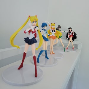 Sailor Moon and the Sailor Scouts