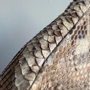 K&ouml;nnte beinhalten: Nahaufnahme einer Handtasche oder Clutch aus Schlangenhaut. Die Schuppen sind in verschiedenen Braun-, Beige- und Cremet&ouml;nen gehalten und bilden ein nat&uuml;rliches, strukturiertes Muster. Das Design der Tasche ist sichtbar, mit N&auml;hten und einer abgerundeten Form.