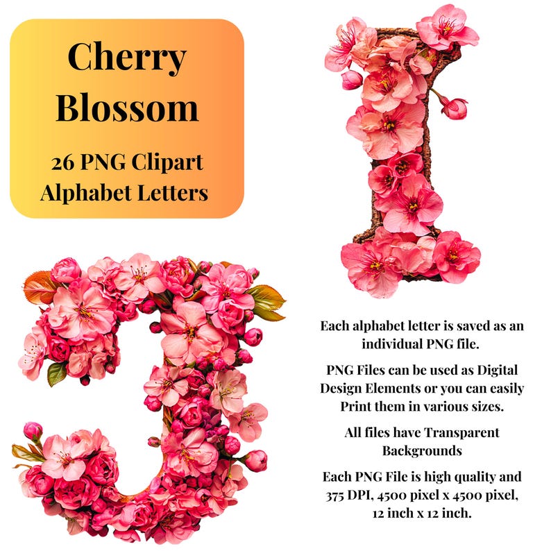 Cherry Blossom Alphabet Clipart: Japanese Floral Letters (PNG Digital ...
