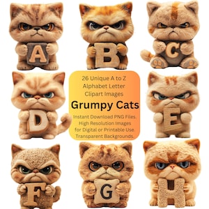 Grumpy Cat Clipart PNG Alphabet Letters, Funny Animal Kitty Clip Art Sublimation, DIY Cat Lover Gifts, Kitten Stickers Cute Fonts for Cricut