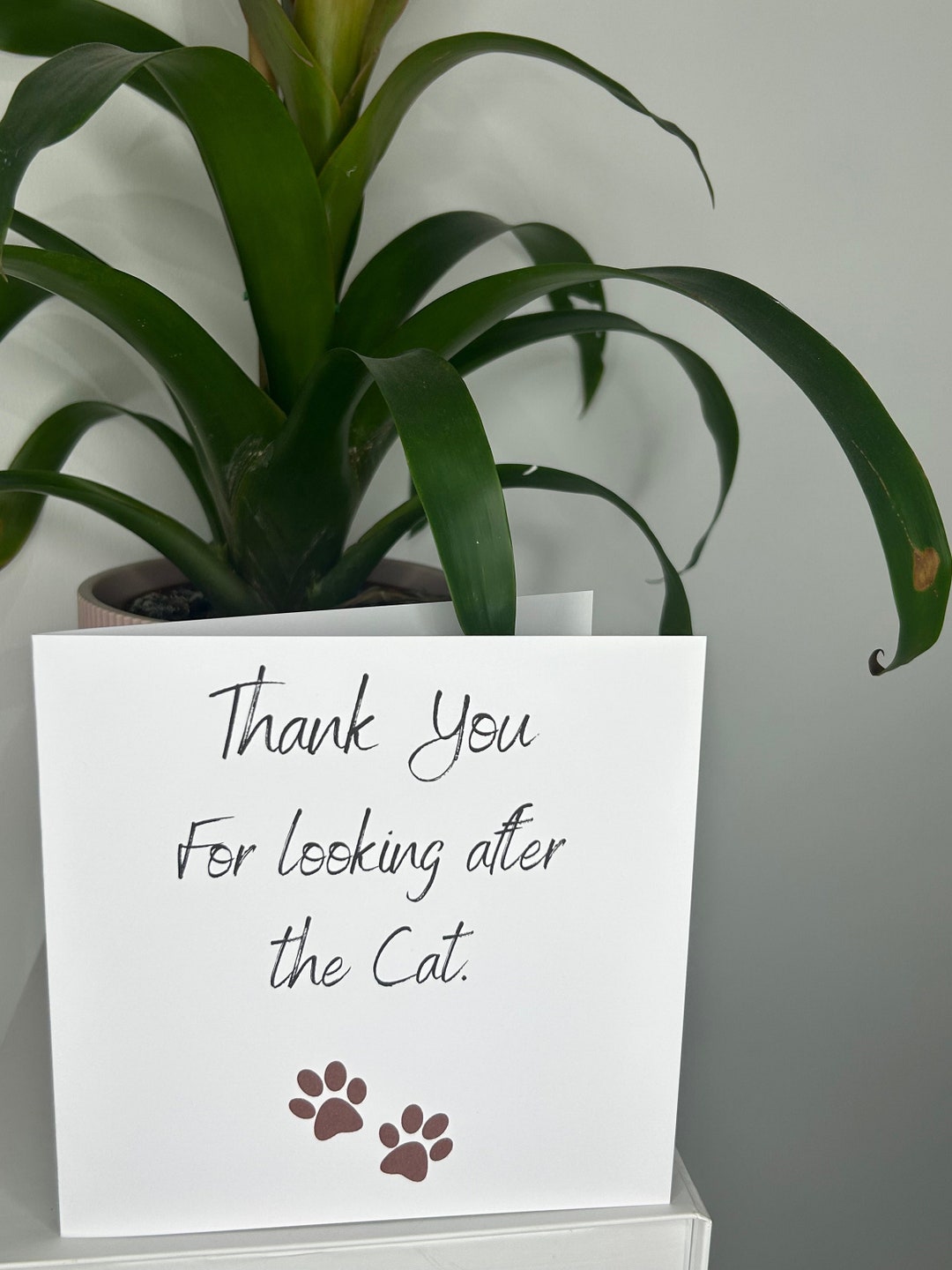 Visual Reference: Thank You For Looking After The Cat Thank You Greeting