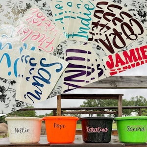 MADE TO ORDER Name Label/Decal for Barn/Farm/Equestrian Supplies Personalized