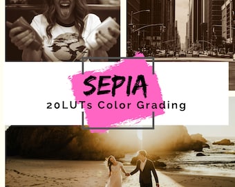 LUT's sepia voor video- en fotokleurcorrectie | 20 sepia LUT's voor Affinity Photo, Premiere Pro, Final Cut, Filmora, DaVinci Resolve