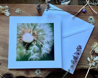 Blank greeting card, Greeting card, Birthday card, Thank you card, Blank invitation, Blank cards, Photography card, flower card, nature card