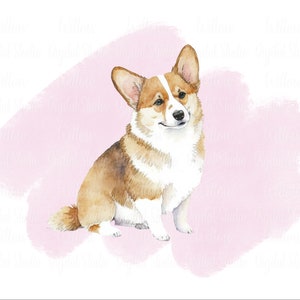 corgis mit pastell rosa Hintergrund digitaler Kunst download ~ Sublimation PNG Bild ~ Kommerzielle Lizenz inbegriffen