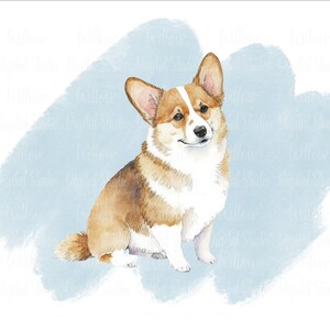 corgis mit pastellblauem Hintergrund digitaler Kunst download ~ Sublimation PNG Bild ~ Kommerzielle Lizenz inklusive