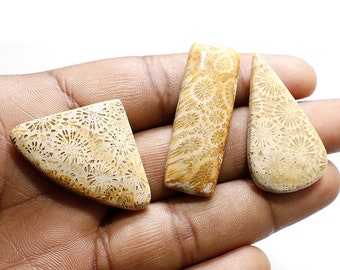 3 Pcs 96Cts. Fossil Coral , Natural Wholesale Lot Fossil Coral Cabochon By Weight With Different Shapes And Sizes Used For Jewelry Making