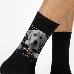 Labrador Retriever Gifts Labrador Retriever Socks Labrador Retriever Art Casual Socks Men Birthday Socks Gift