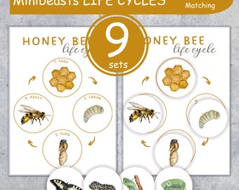 MINIBEASTS Life Cycle printable 5x7" flashcards and matching worksheets (5x7"). Montessori,  Instant Download