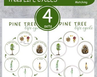TREES Life Cycle printable 5x7" flashcards and matching worksheets (5x7"). Montessori,  Instant Download
