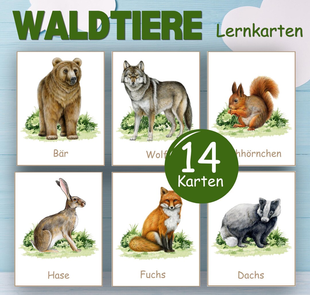 WALDTIERE Lernkarten, Forest Animals Montessori Preschool Activity