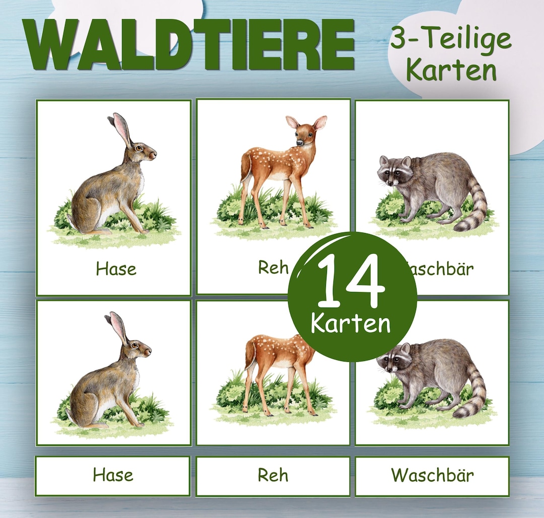 FOREST ANIMALS Montessori 3 Part Cards. Preschool Vocabulary Activity ...