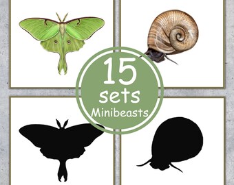 MINIBEASTS schaduw bijpassende kaarten. Peuter Montessori afdrukbaar. Directe download