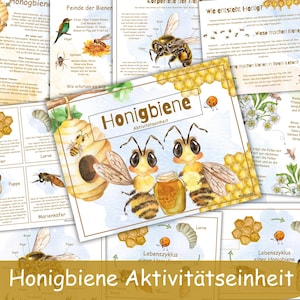 May include: A collection of educational posters about bees, featuring illustrations of bees, honeycombs, and the life cycle of a bee. The posters have German text and the title "Honigbiene Aktivitätseinheit" in a playful font, with a warm, inviting color palette.