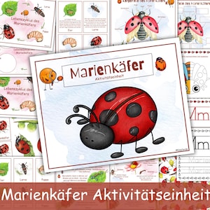 LADYBUG Unit Study in German. Instant DOWNLOAD