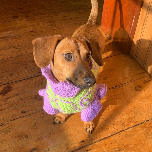 Crochet Dog Jumper Etsy