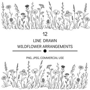 May include: A collection of black and white line art illustrations featuring various wildflowers and grasses. The text 12 LINE DRAWN WILDFLOWER ARRANGEMENTS PNG, JPEG, COMMERCIAL USE is centered between two horizontal rows of botanical drawings.