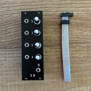 Può includere: Un pannello nero con quattro manopole e quattro jack, etichettati 1, 2, 3, 4 e 0. Il pannello ha anche le lettere S, M stampate su di esso. Un cavo a nastro grigio con un connettore nero è accanto al pannello.